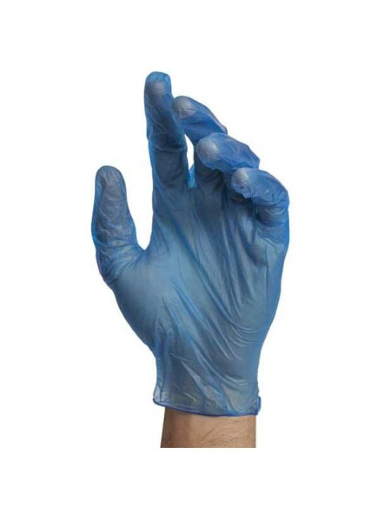 Blue 4Mil Vinyl Gloves Powder Free-S